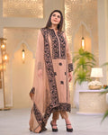 Designer Party Wear Salwar Suit Indian Formal Wear Outfit Pakistani salwar Kameez